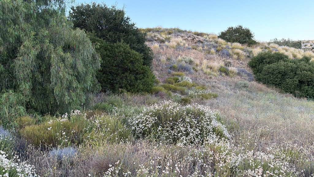 2 Coya Trail Property Photo 10