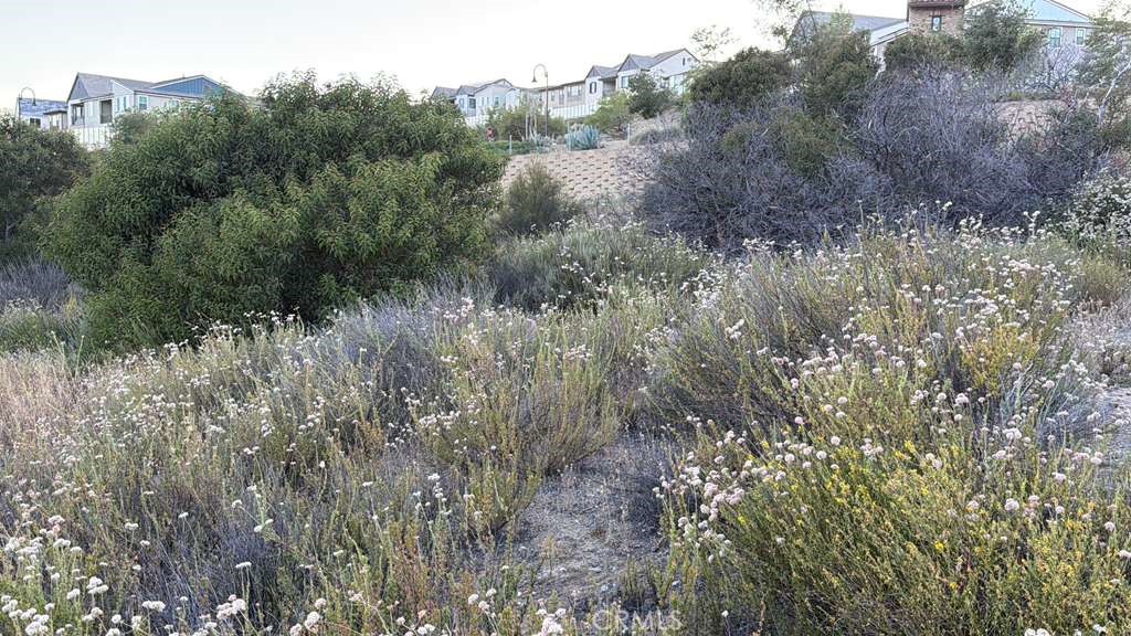 4 Coya Trail Property Photo 5