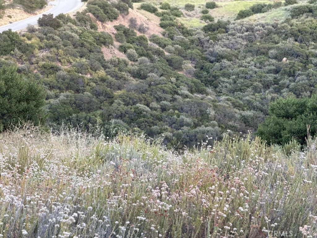 4 Coya Trail Property Photo 10