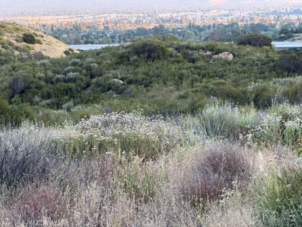 4 Coya Trail Property Photo 11