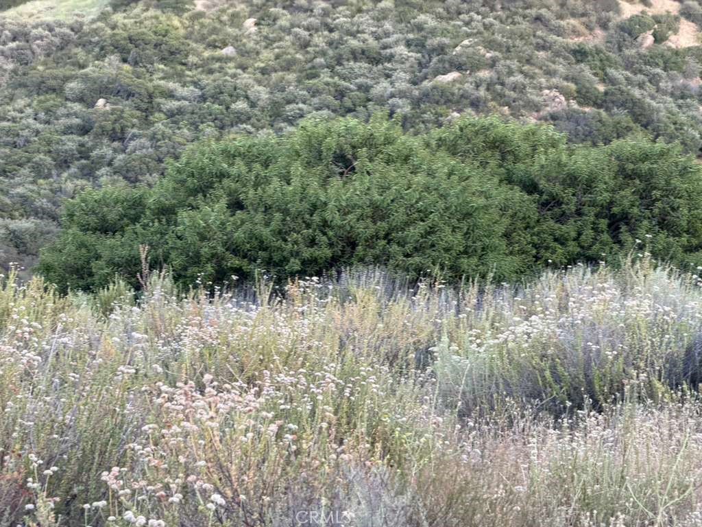 4 Coya Trail Property Photo 13