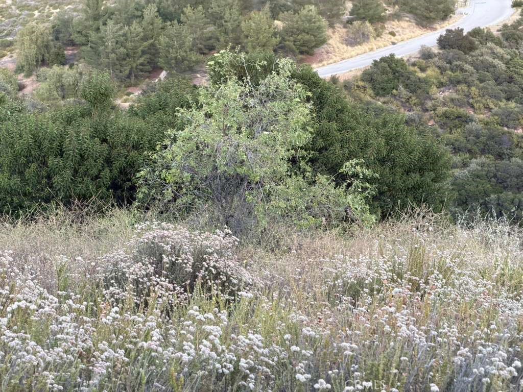 4 Coya Trail Property Photo 14