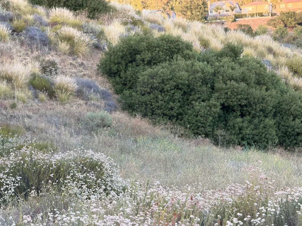 4 Coya Trail Property Photo 15