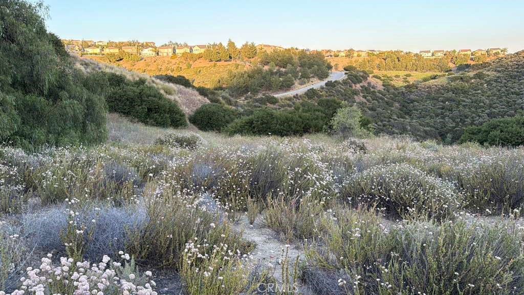 4 Coya Trail Property Photo 18