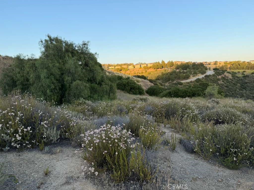 4 Coya Trail Property Photo 19