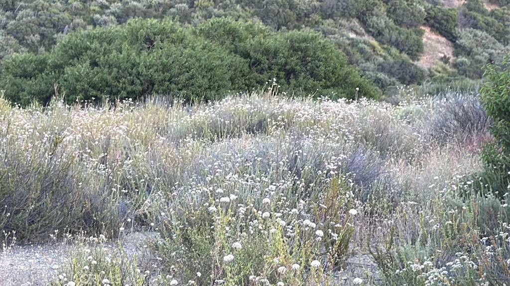 4 Coya Trail Property Photo 20