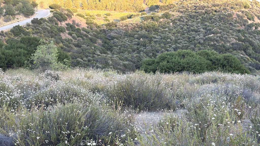 4 Coya Trail Property Photo 21