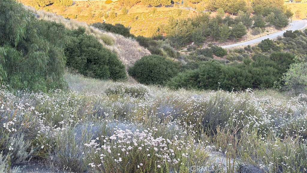 4 Coya Trail Property Photo 22