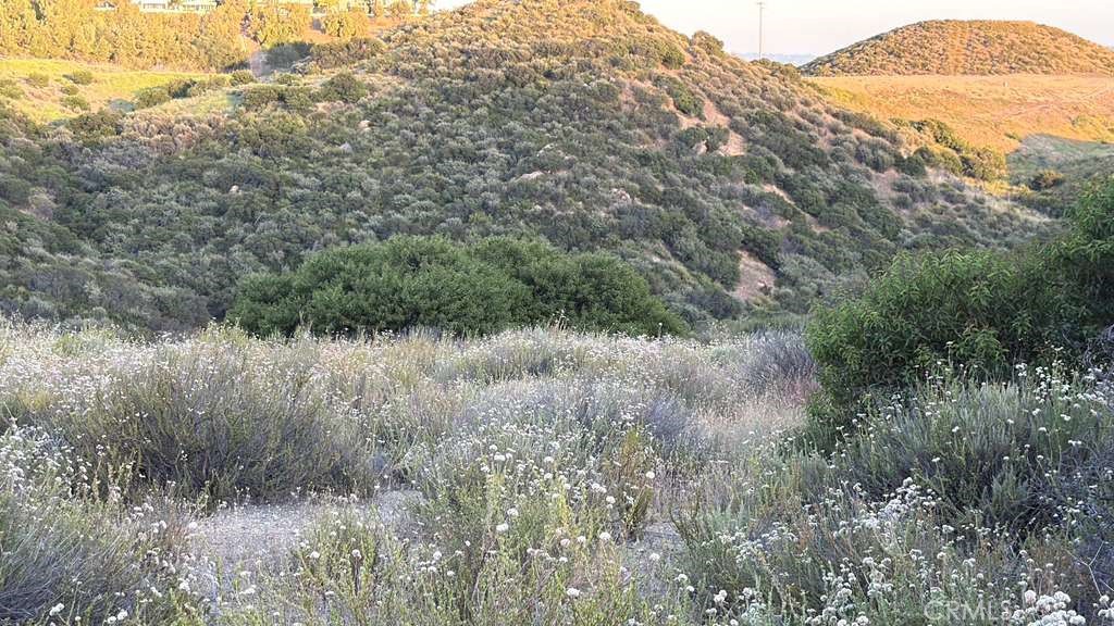 4 Coya Trail Property Photo 23