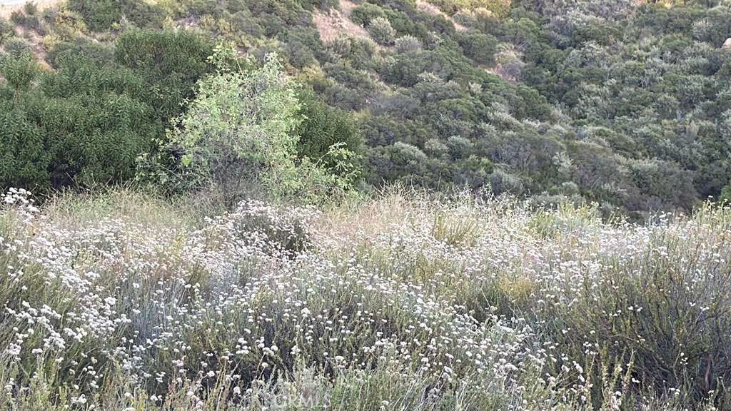 4 Coya Trail Property Photo 24