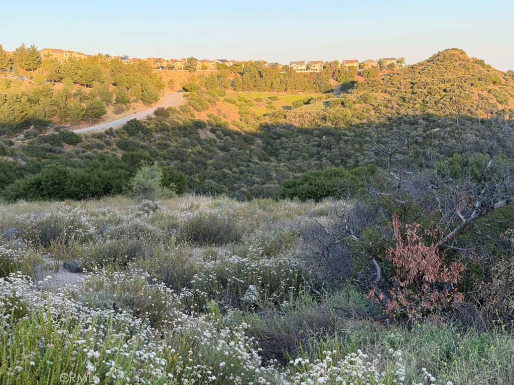 4 Coya Trail Property Photo 25