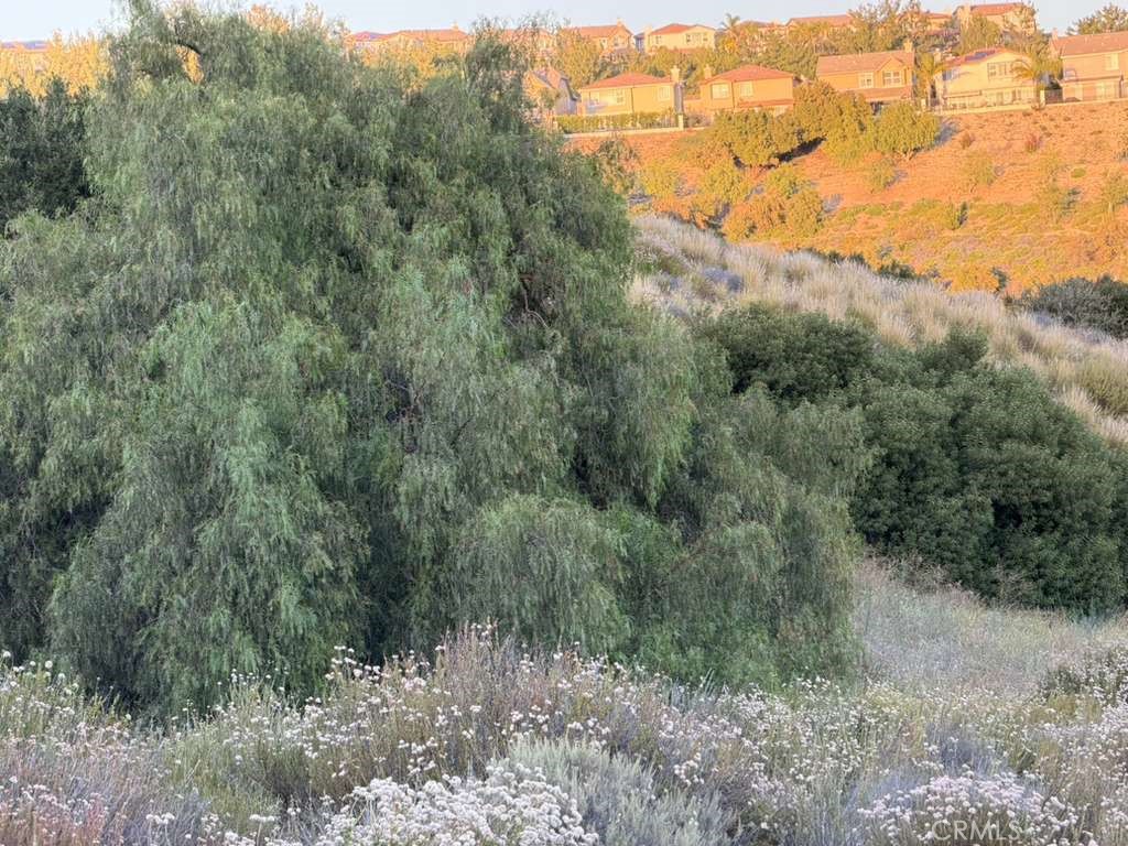 4 Coya Trail Property Photo 26
