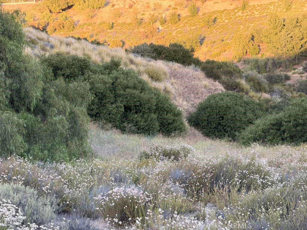 4 Coya Trail Property Photo 27