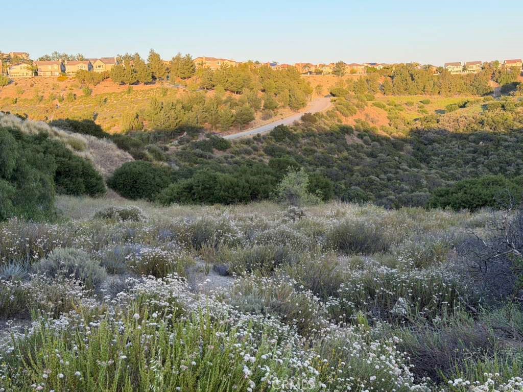 4 Coya Trail Property Photo 28