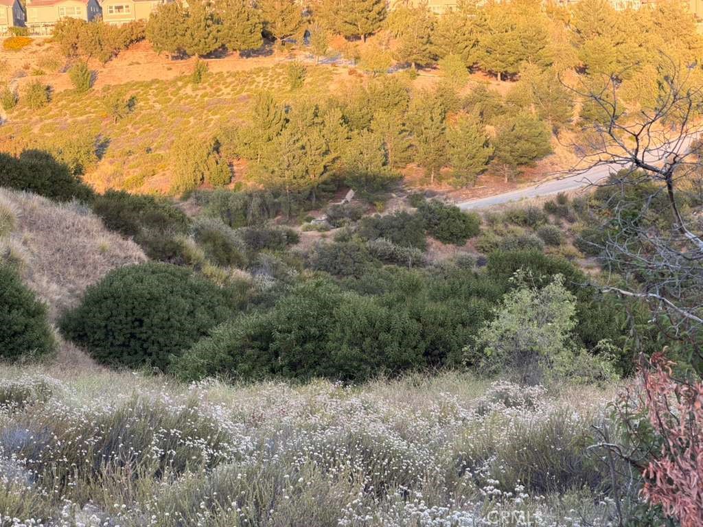 4 Coya Trail Property Photo 29