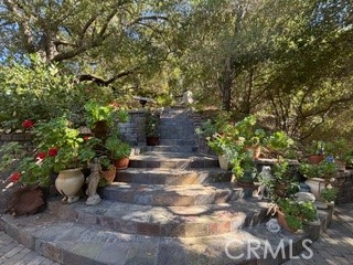 3439 Dorothy Road Property Photo 26