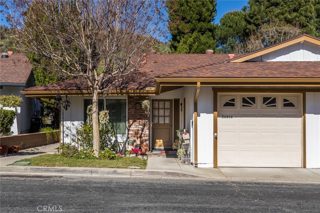 26856 Oak Branch Circle Property Photo 1