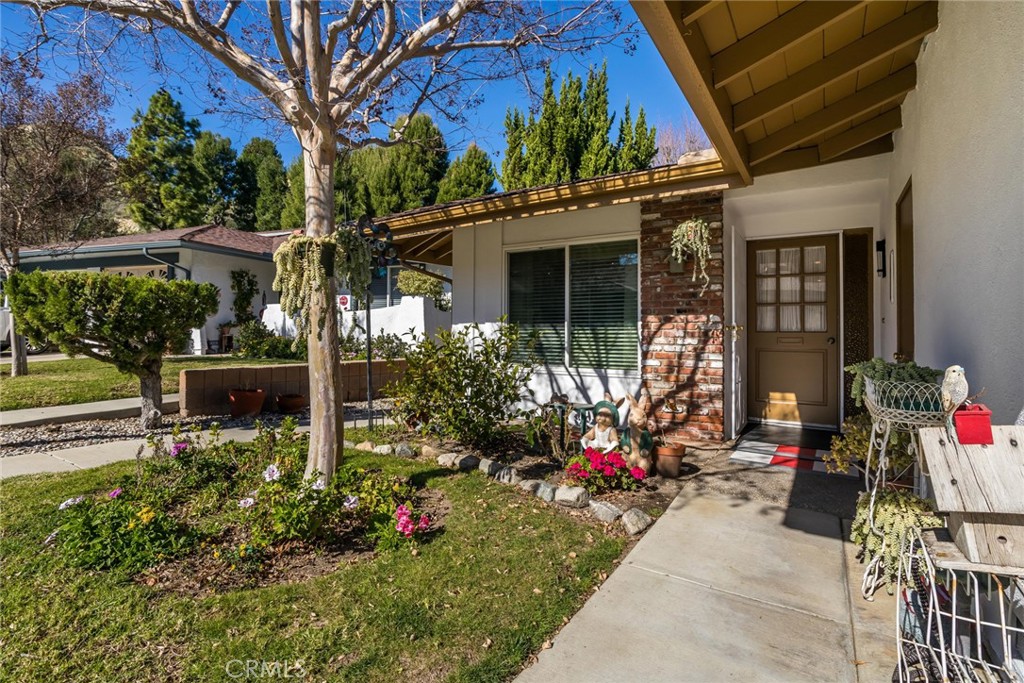 26856 Oak Branch Circle Property Photo 2