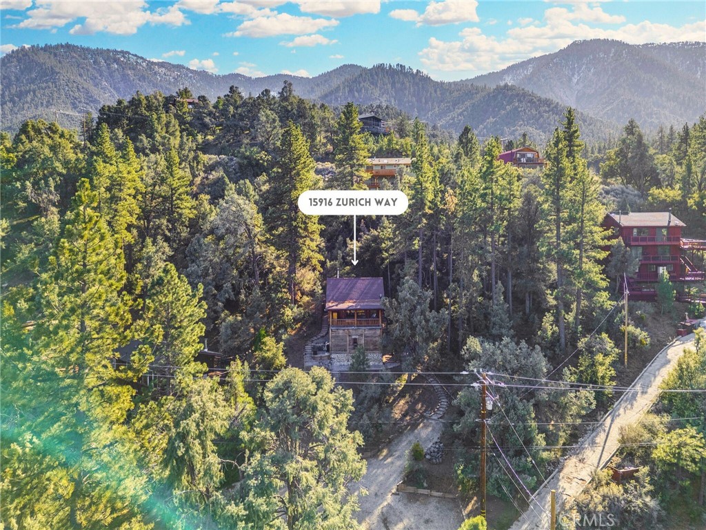 15916 Zurich Way Property Photo 44