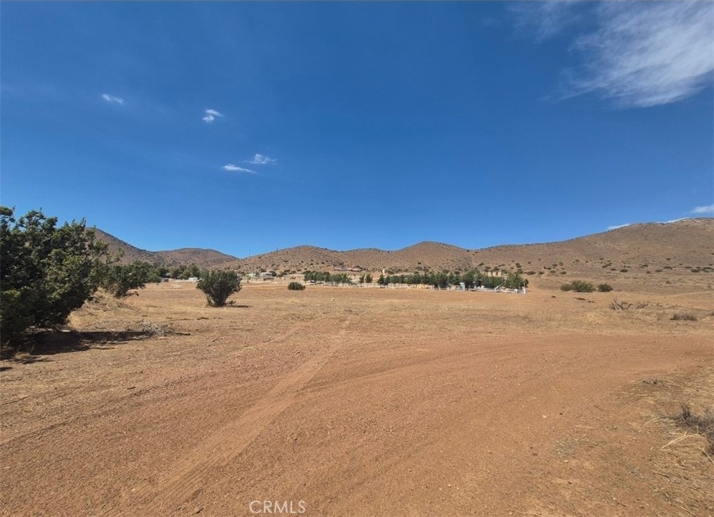 3500 Clanfield Street Property Photo 4
