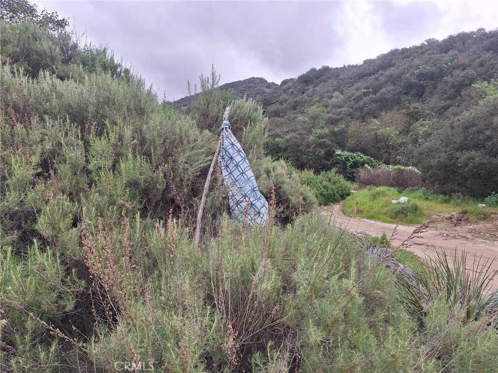 0 Tujunga, Property Photo 6