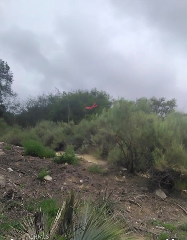 0 Tujunga, Property Photo 15