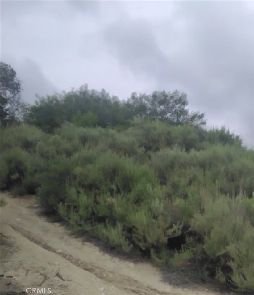 0 Tujunga, Property Photo 16