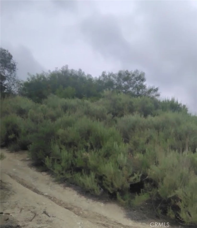 0 Tujunga, Property Photo 22