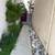 8425 Burnet Property Photo 4