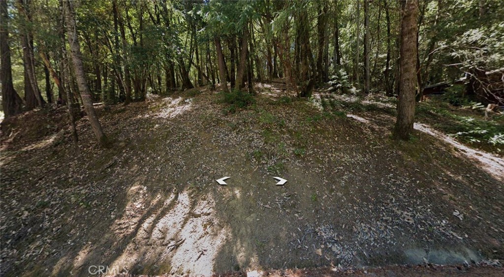 24937 Clover Property Photo 1