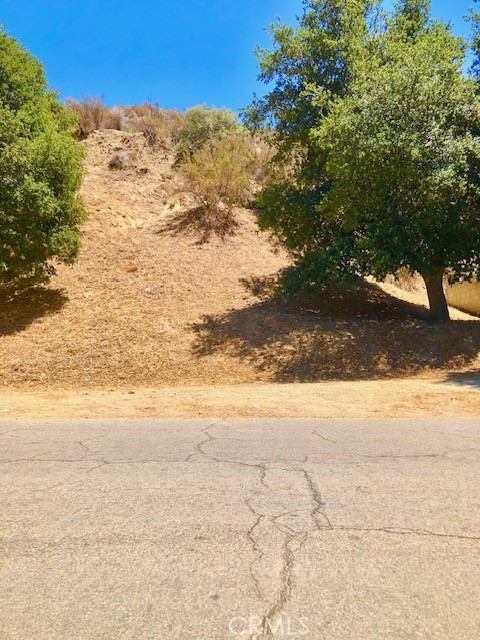 0 Lincoln Ave Lot77 Property Photo 1