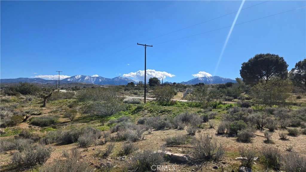 0 Valyermo Road Property Photo 1