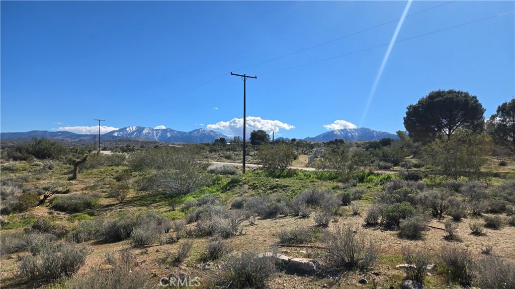 0 Valyermo Road Property Photo 1