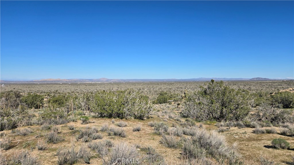 0 Valyermo Road Property Photo 20