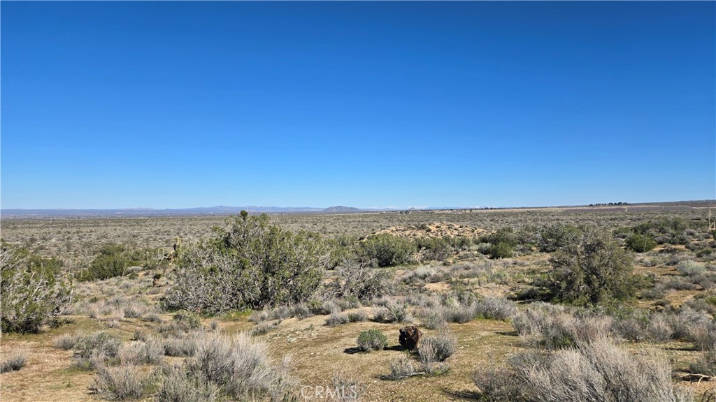 0 Valyermo Road Property Photo 21