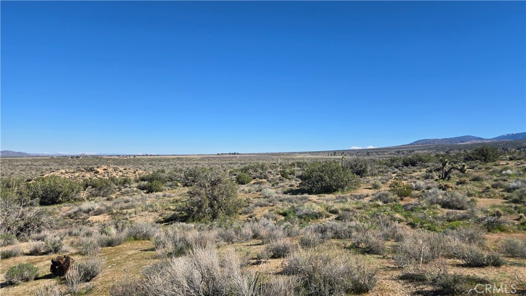 0 Valyermo Road Property Photo 22