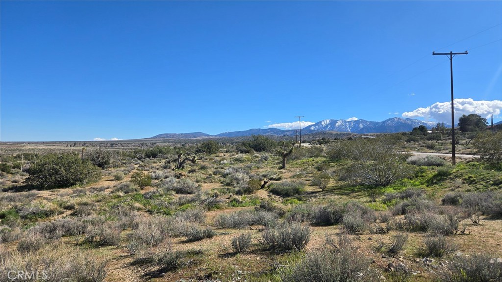 0 Valyermo Road Property Photo 23