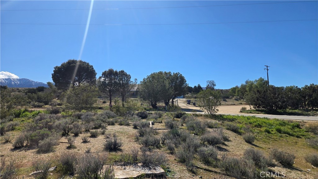 0 Valyermo Road Property Photo 24