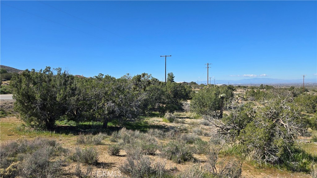 0 Valyermo Road Property Photo 26