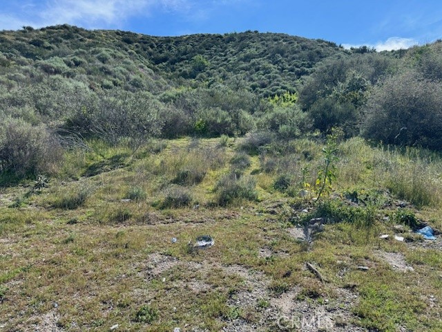 17930 Scherzinger Lane Property Photo 2
