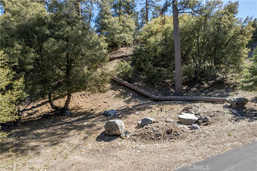 1300 Banff Drive Property Photo 2