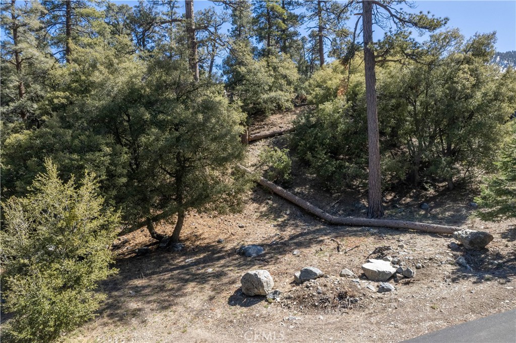 1300 Banff Drive Property Photo 3