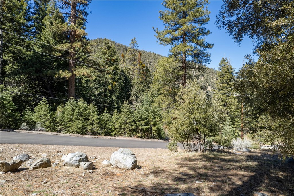 1300 Banff Drive Property Photo 6