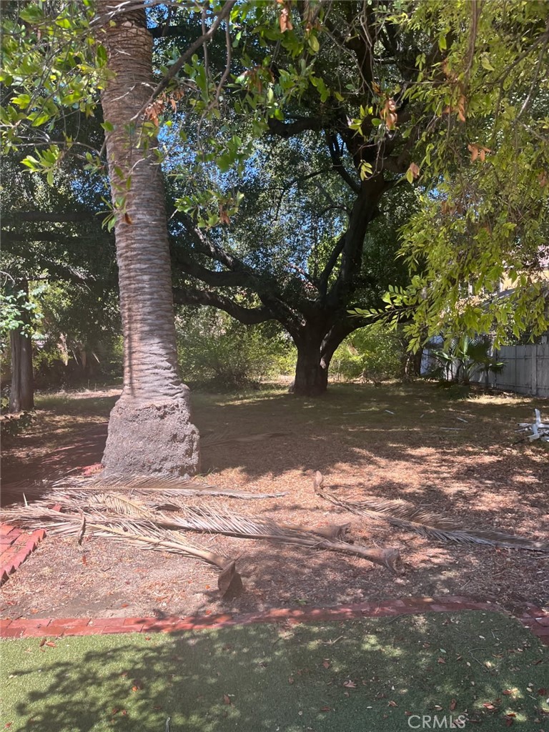 13029 Magnolia Property Photo 2
