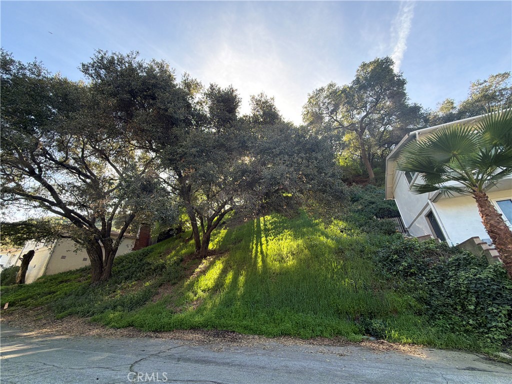 2430 Drury Lane Property Photo 1