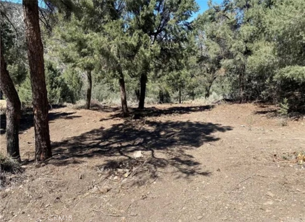 2217 Saint Bernard Drive Property Photo 1