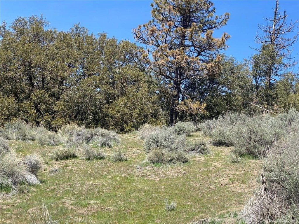 25301 Paramount Property Photo 1