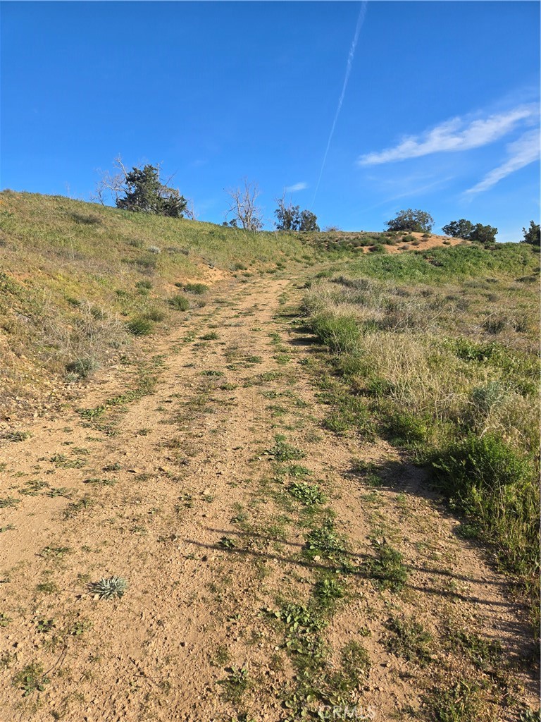 0 Red Rover Property Photo 3