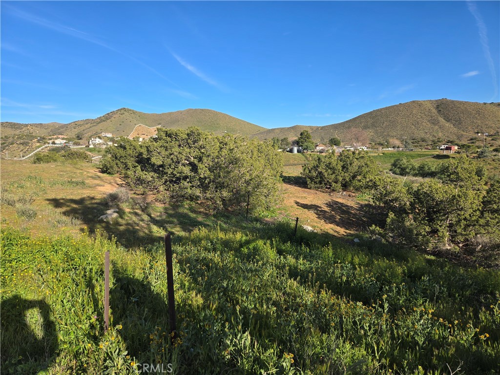 0 Red Rover Property Photo 8