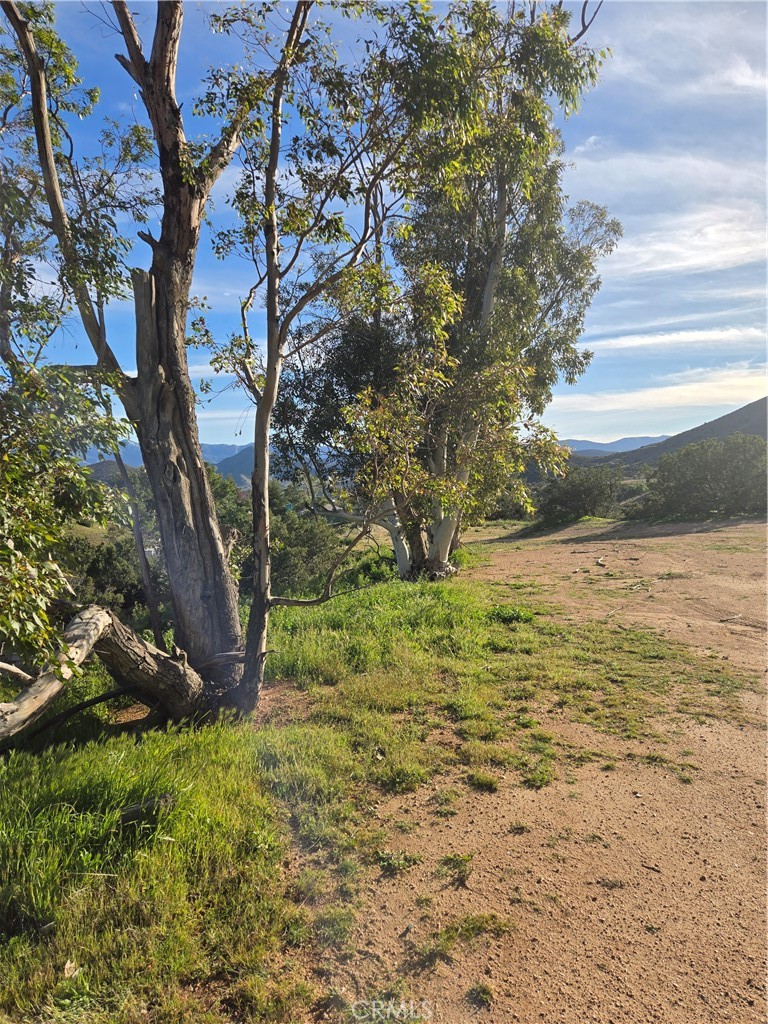 0 Red Rover Property Photo 9